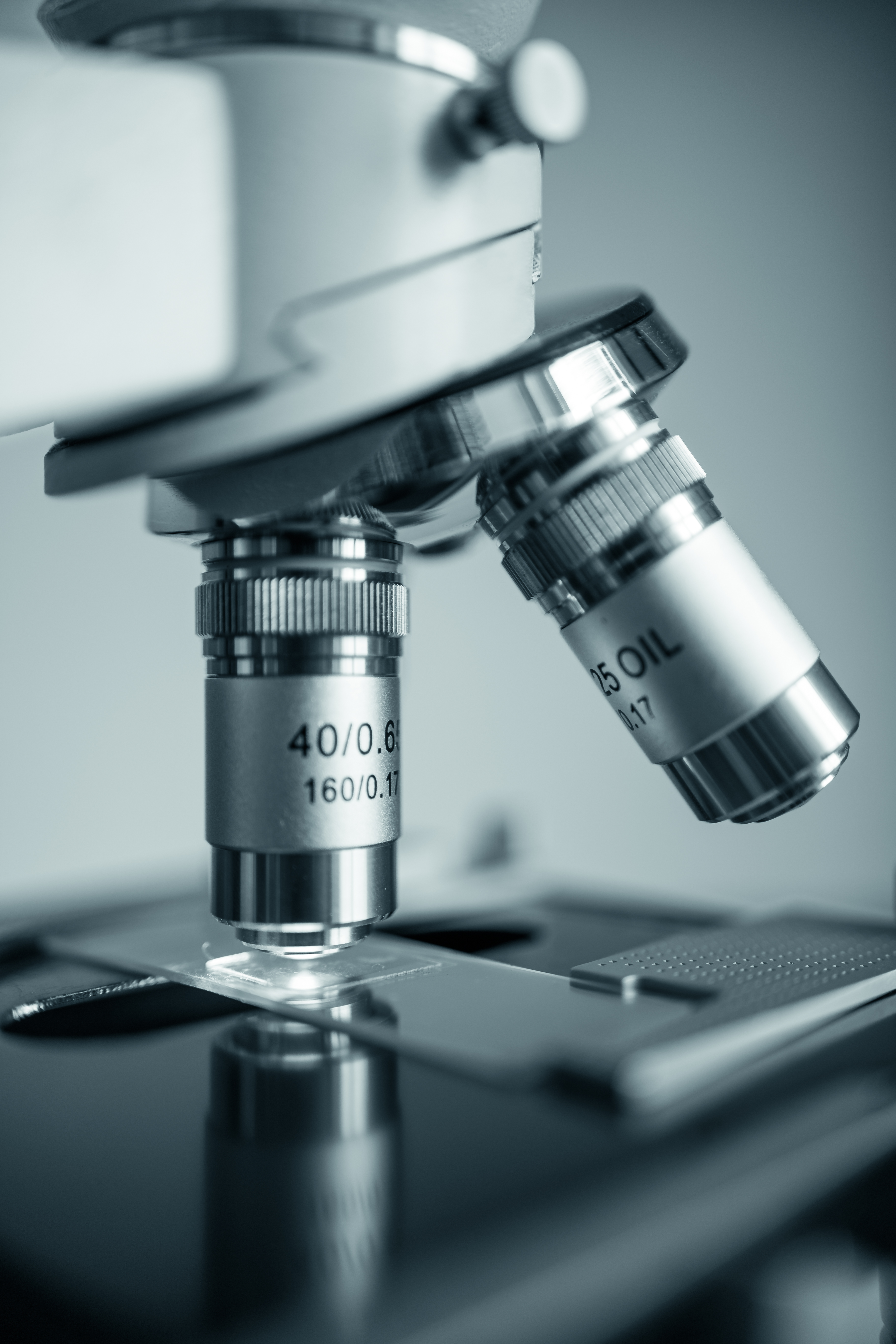Dermatopathology
